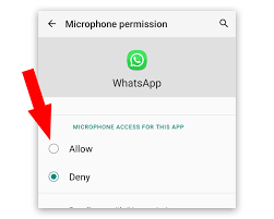 How to Disable Microphone Access for WhatsApp Temporarily