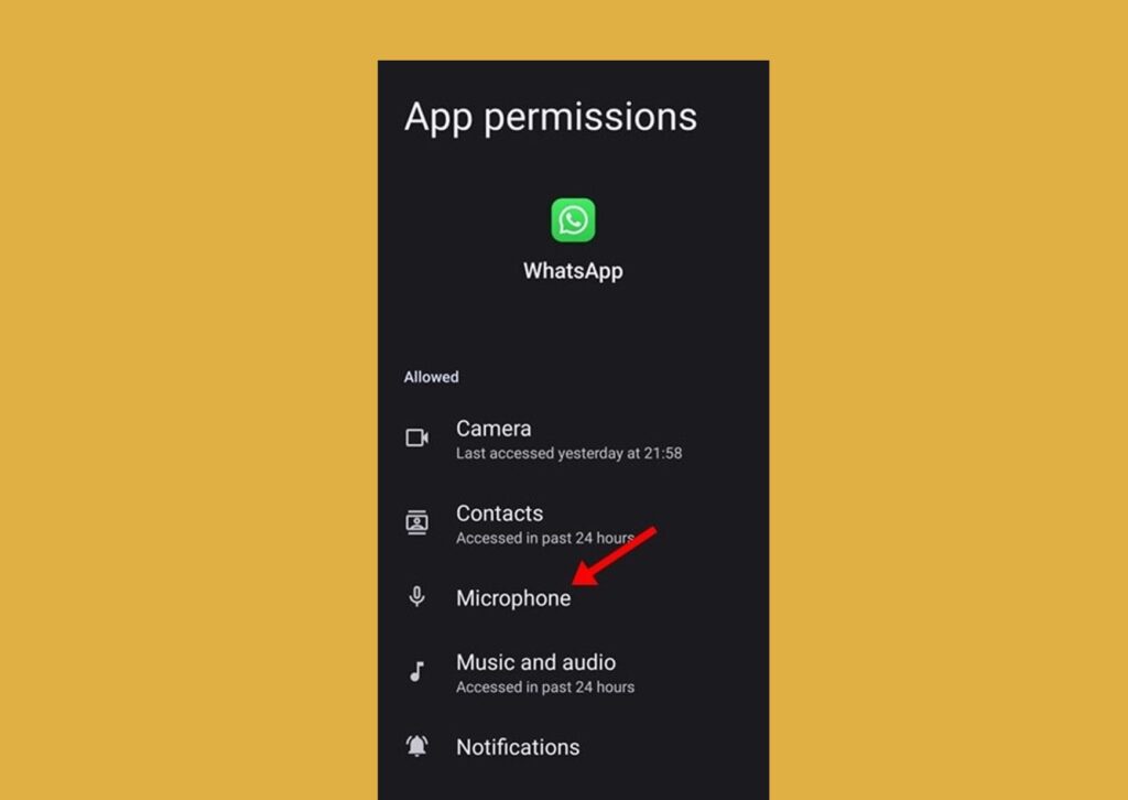 Tap on 'Permissions' and tap on Microphone