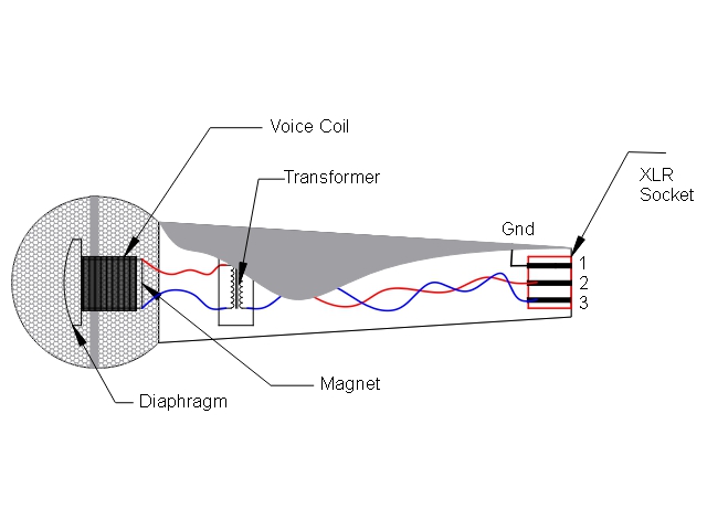 What Is Inside A Microphone