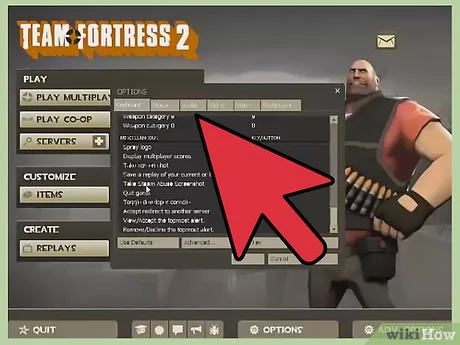 What is the TF2 Microphone?